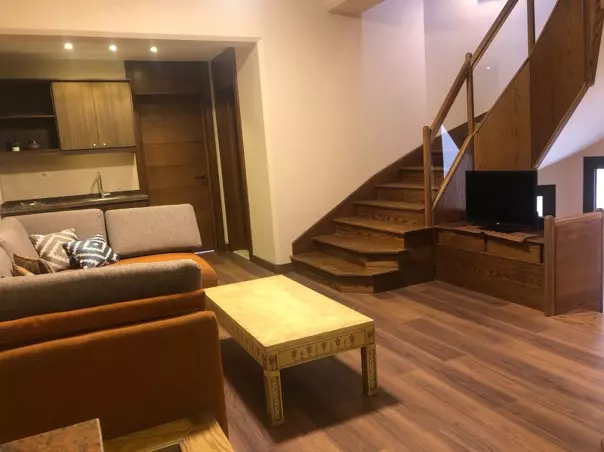  | Twin-house
