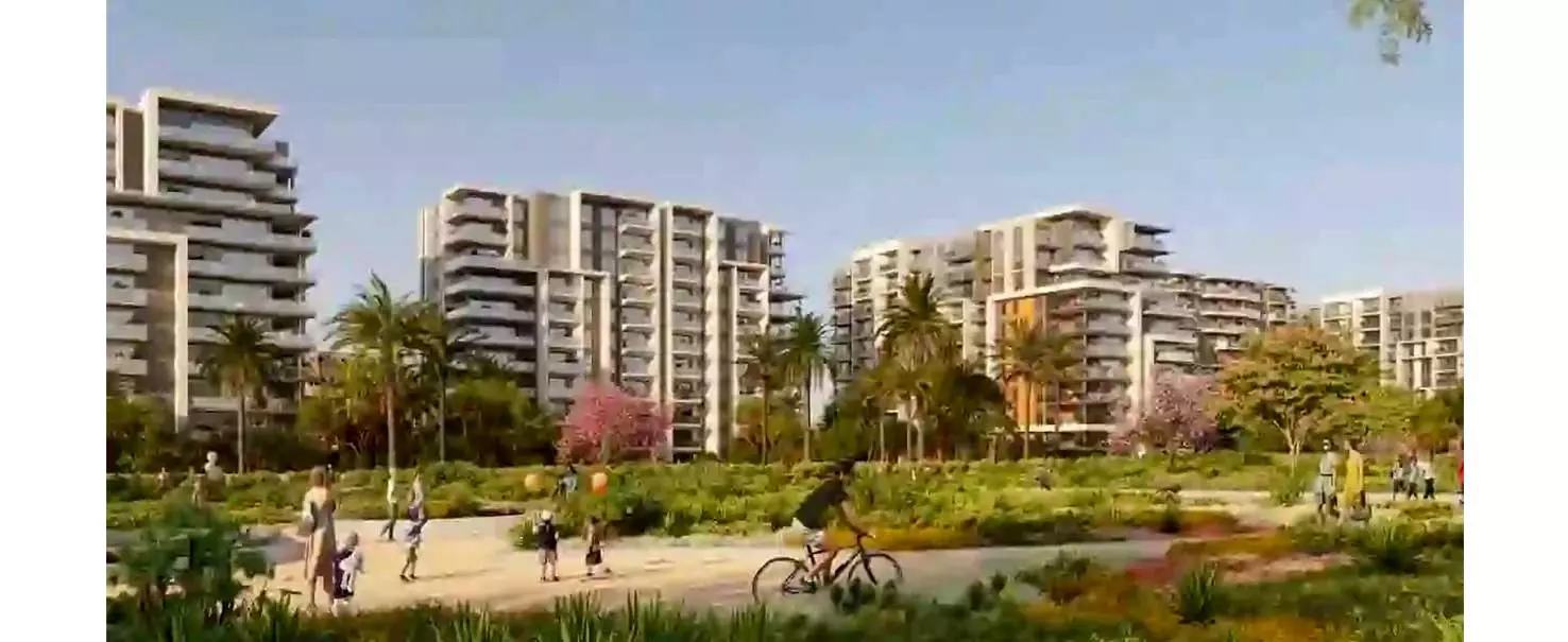 Zed Project | Apartment