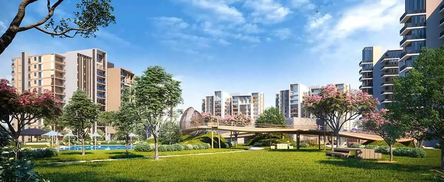 Zed East | Apartment
