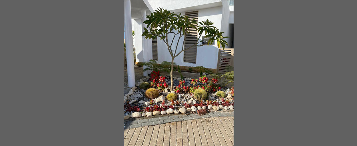 Seashell | Villa