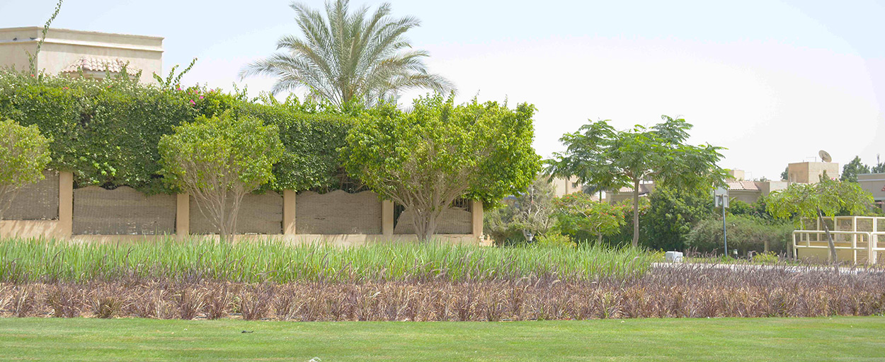 Westown Residential | Apartment