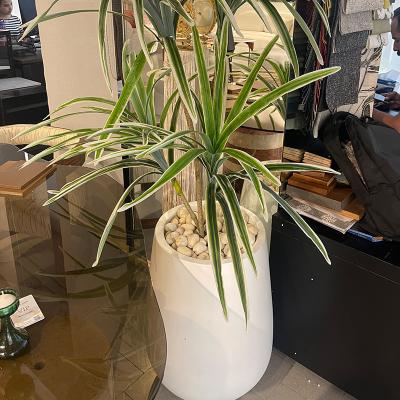 Plain Plant Pot