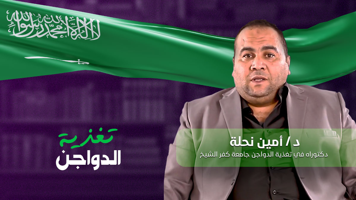 كورس تغذية الدواجن