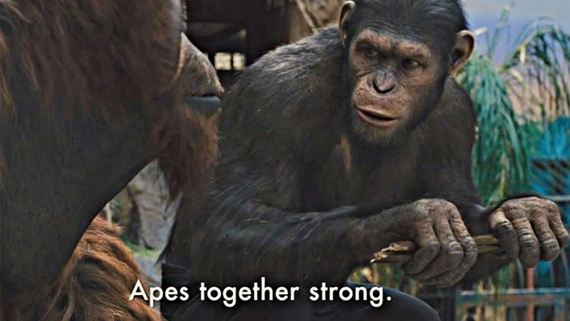 CryptoAPE