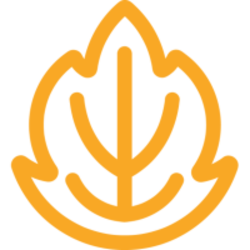 Autumn AUTUMN Logo