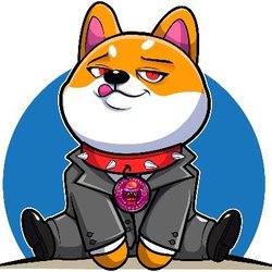 Baby Doge Inu $BABYDOGEINU Logo