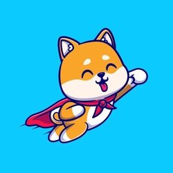 Baby Floki Coin BABYFLOKICOIN Logo