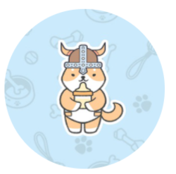 Baby Floki Inu BFLOKI Logo