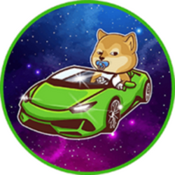 Baby Lambo Inu BLINU Logo