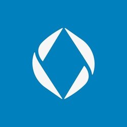 Ethereum Name Service ENS Logo