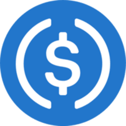 USDC USDC Logo
