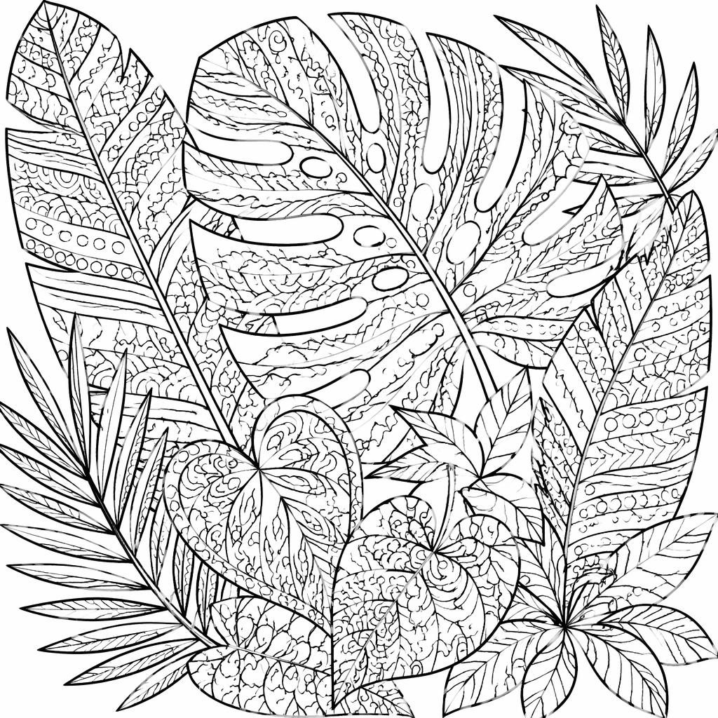 Illustration à colorier en noir et blanc de feuilles tropicales zentangle, aux contours nets et détails minutieux.