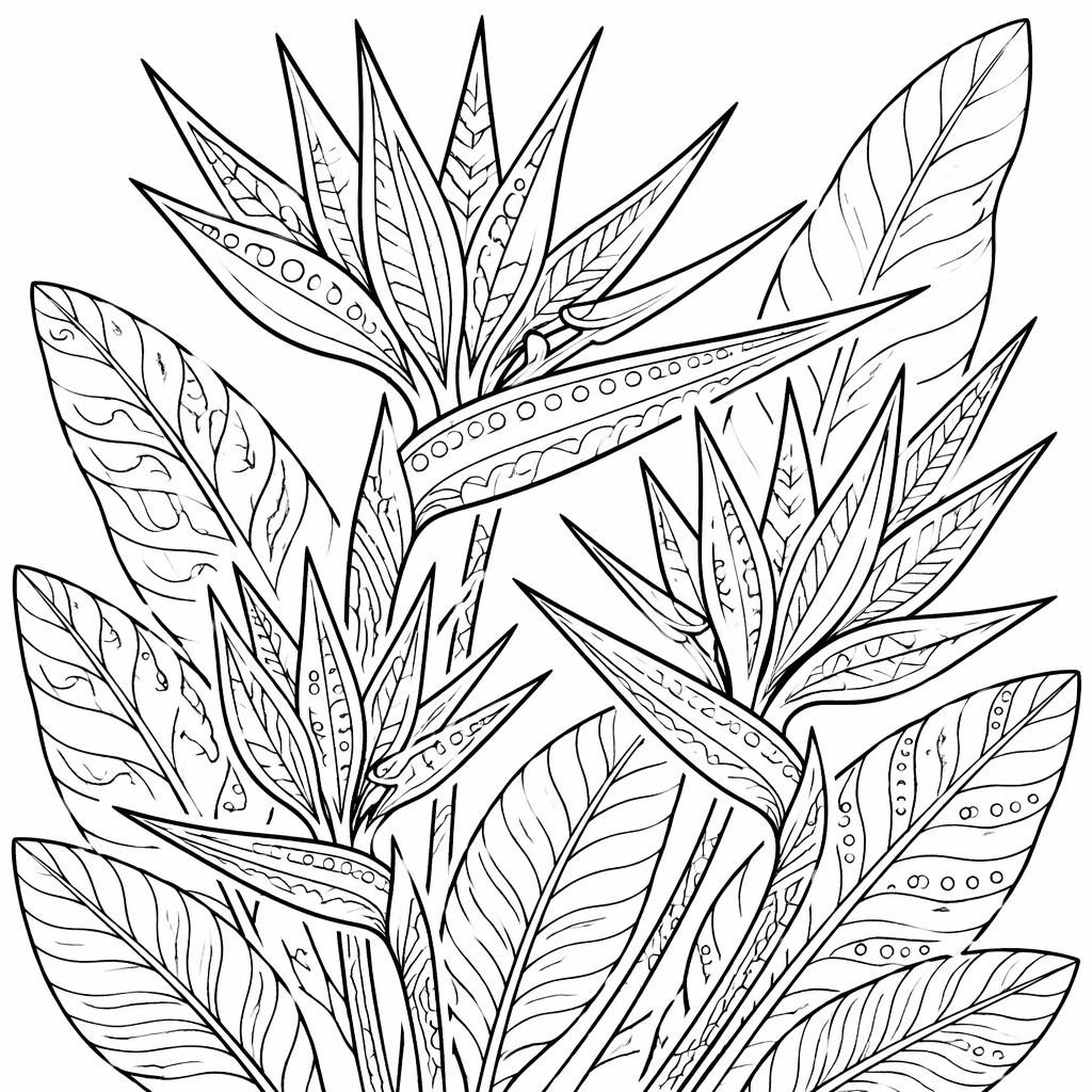 Black-and-white coloring page with birds of paradise flowers in simple zentangle line art on a white background.