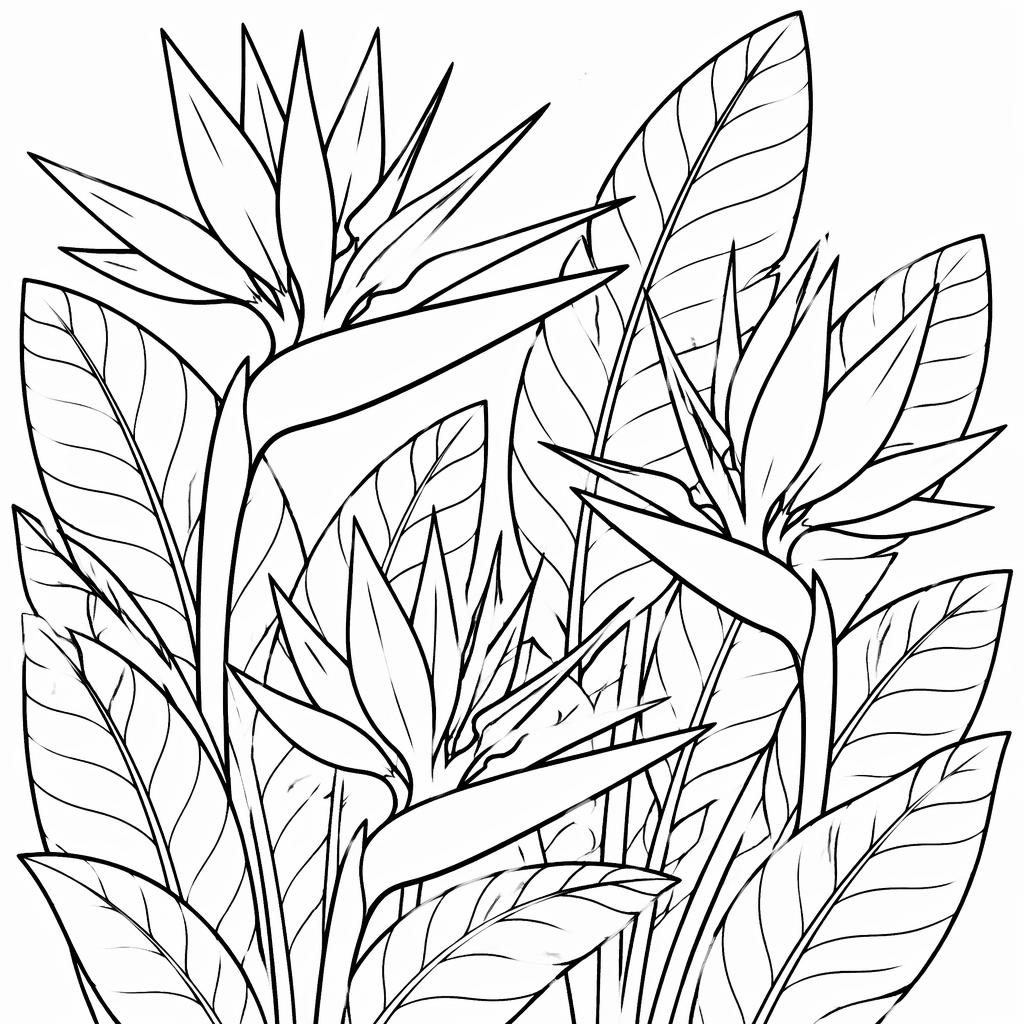 Black-and-white line art coloring page of birds of paradise flowers in a simple manga-inspired style.