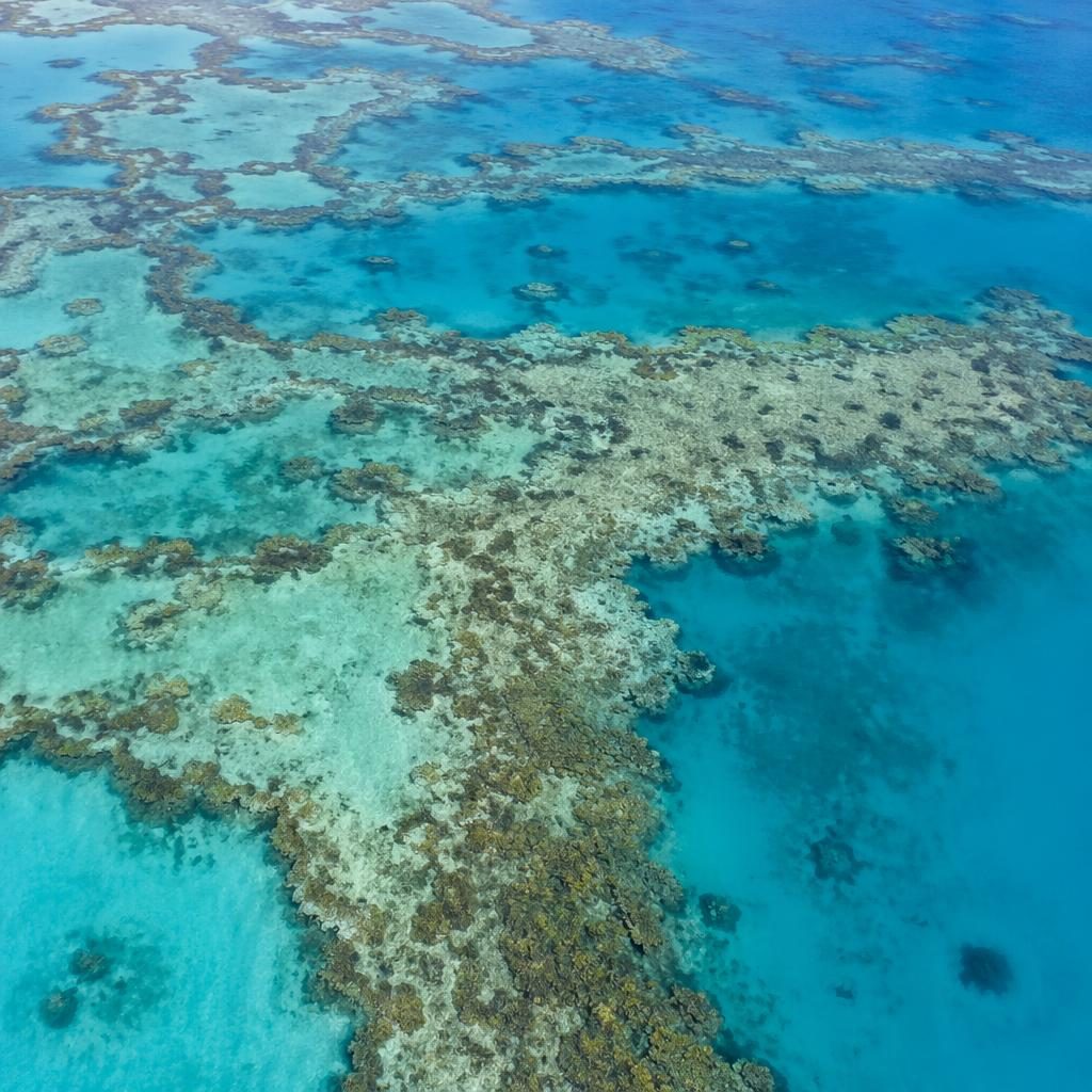 Photo aérienne en drone d’un récif corallien aux motifs organiques, angle incliné, lumière du crépuscule, tons pastel