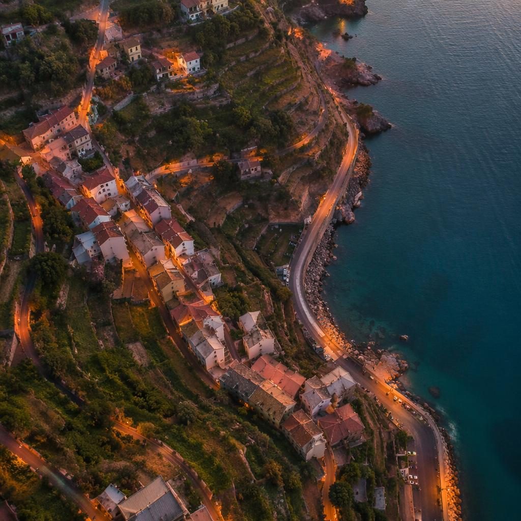 Top-down drone view of autumn vineyard rows near an Amalfi Coast village at dusk, with golden earth tones and sharp detail.