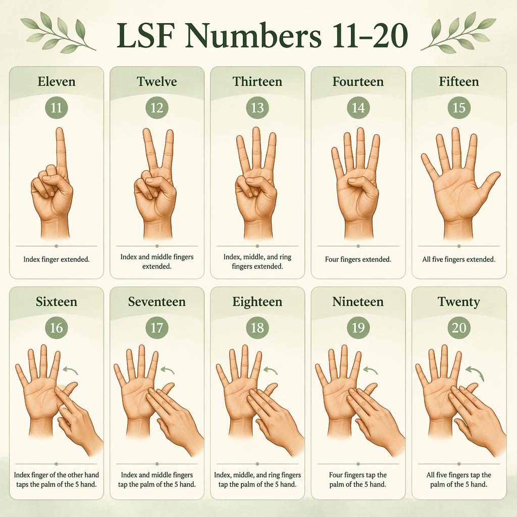 Infografik mit 10 Karten im Raster, die LSF-Handzeichen für 11 bis 20 in Salbei-Creme mit englischen Beschriftungen zeigen.