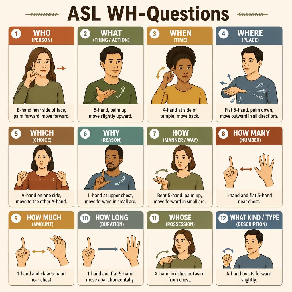 Infografik mit Kartenraster zu ASL-WH-Fragen, mit Handformen für WHO, WHAT, WHEN, WHERE, WHICH, WHY und HOW.