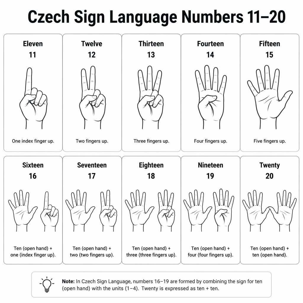 Raster-Infografik mit 10 Karten zu Gebärdenzahlen 11–20, jeweils mit Handpose, Ziffer und englischer Beschriftung.