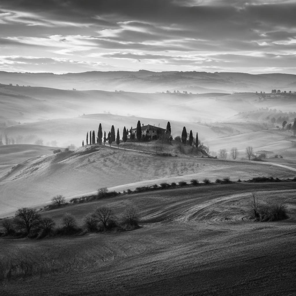 Black-and-white view of Tuscan hills with cypress trees at sunset, layered ridges, dramatic light, and sharp detail
