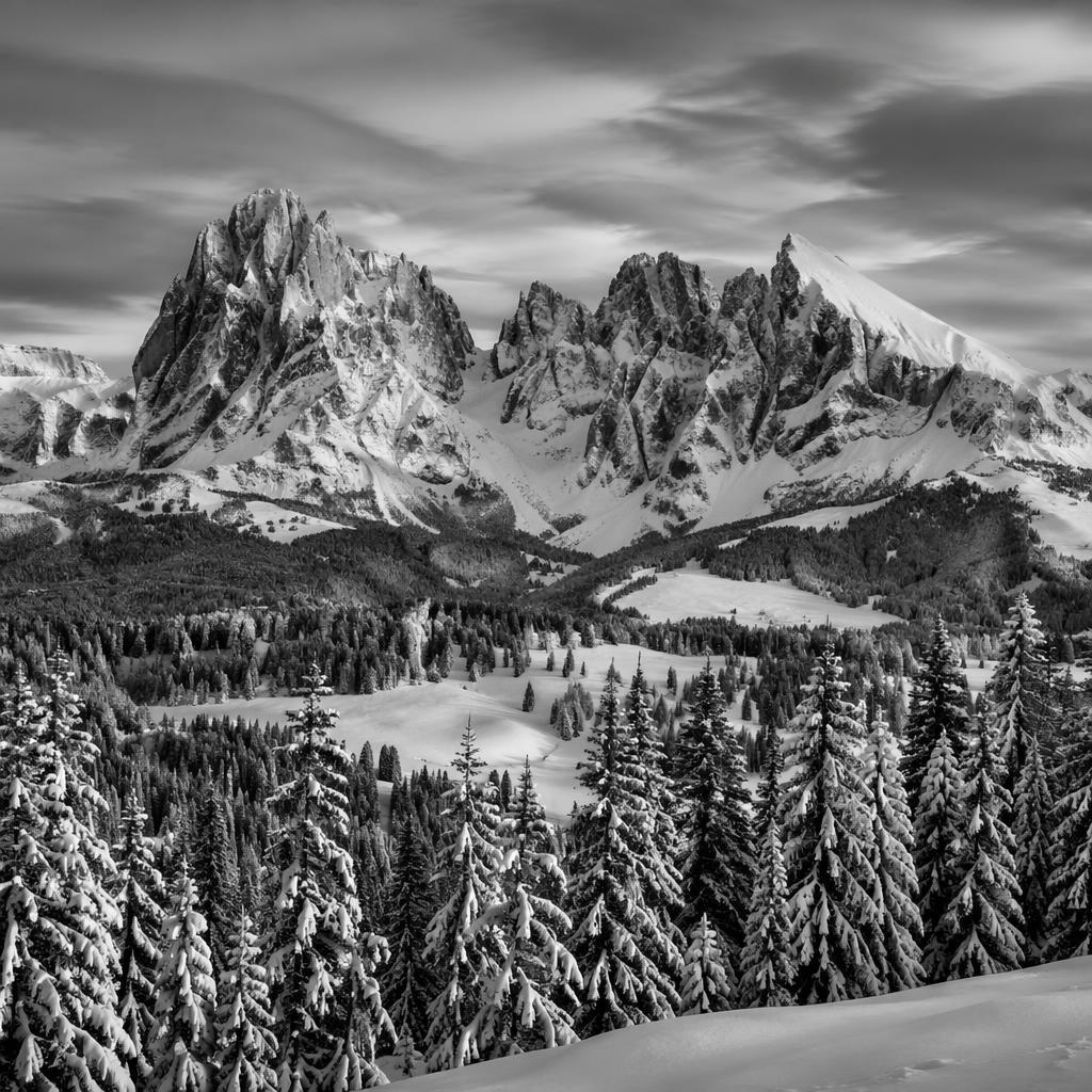 Paysage des Alpes en hiver avec sommets des Dolomites enneigés, sapins couverts de neige et lumière dramatique au coucher du soleil.