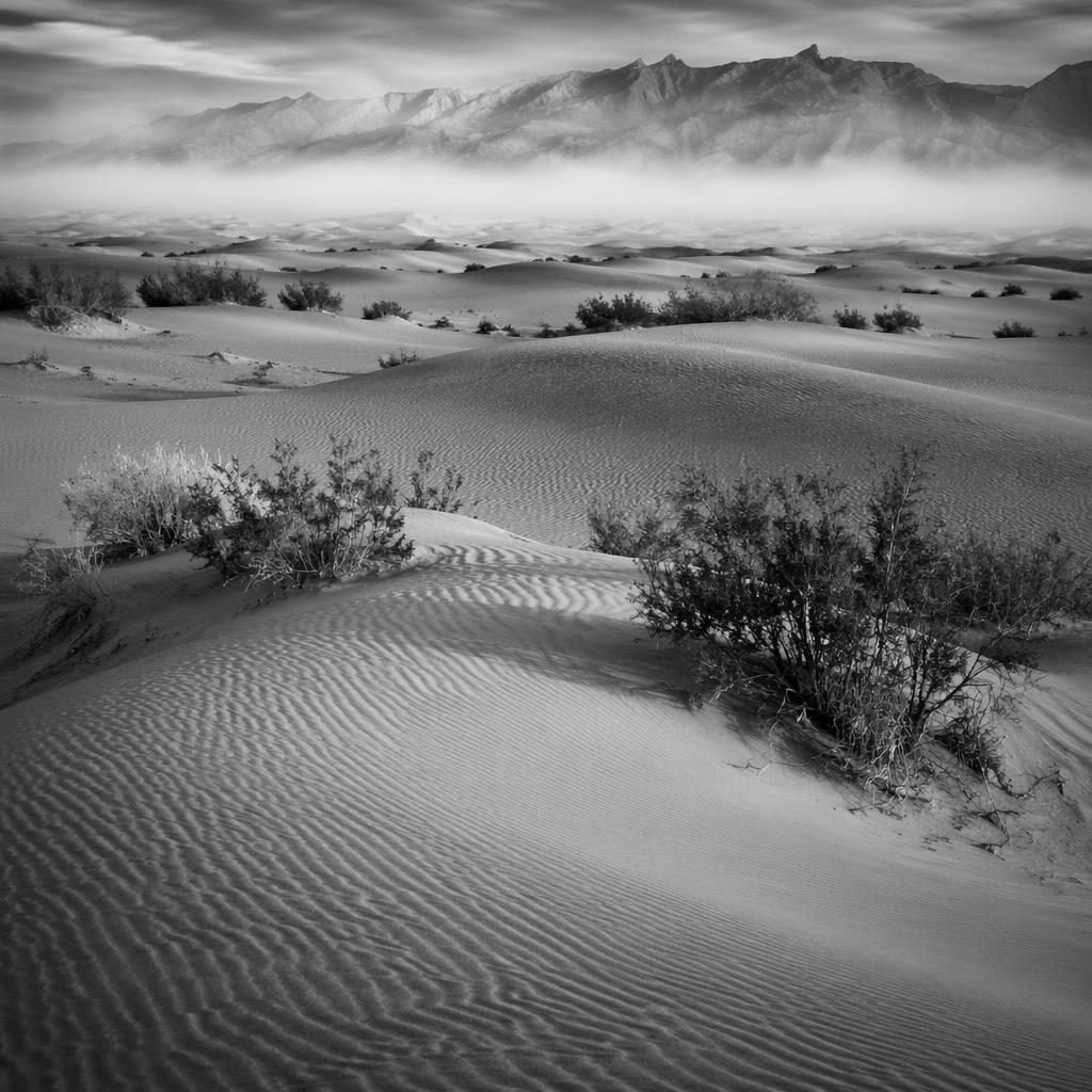 Black and white landscape of Death Valley Mesquite Flat Sand Dunes in foggy morning light with rippled sand and soft haze