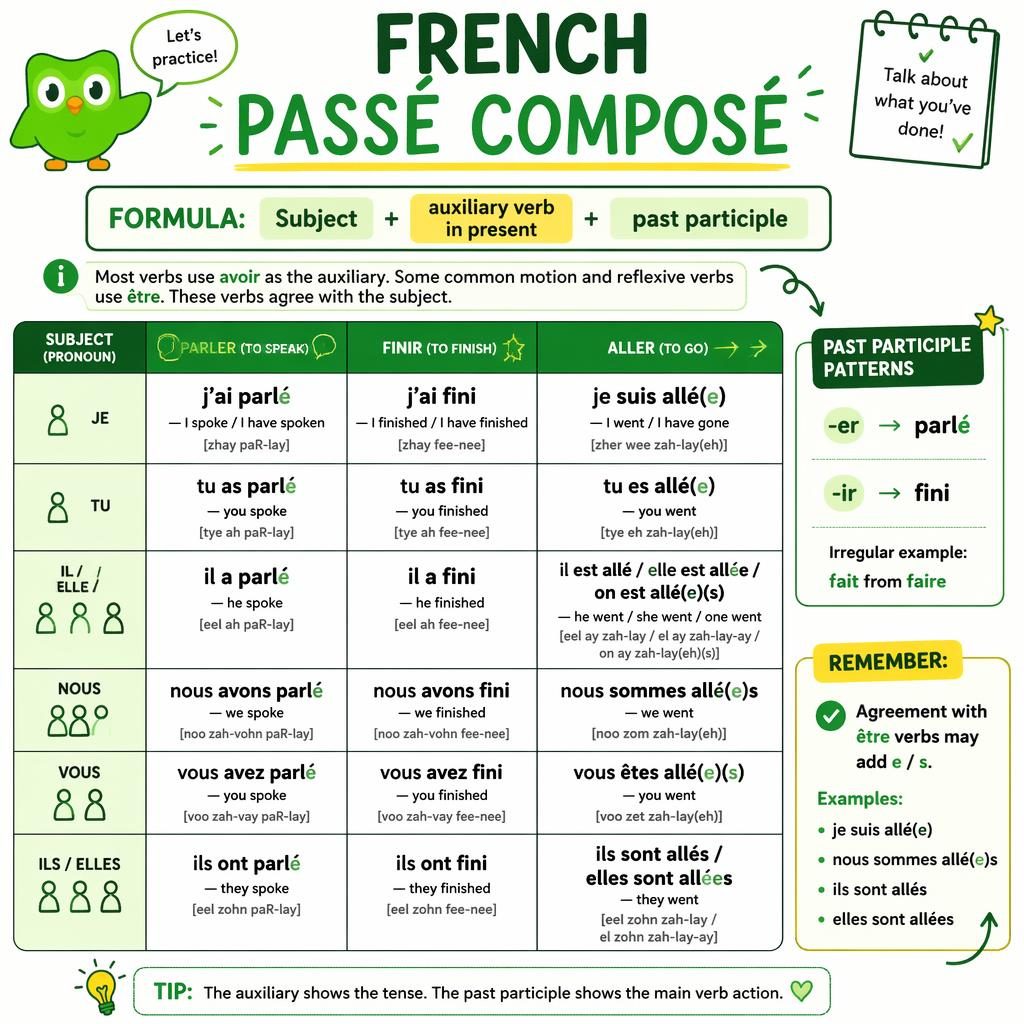 Educational poster with a French passé composé conjugation table for parler, finir, and aller in green-yellow sketchnote style.