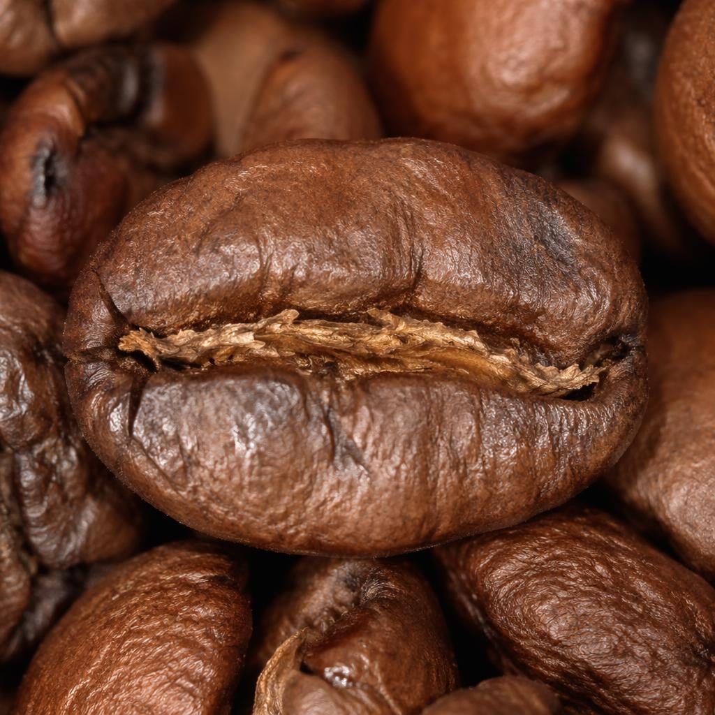 Macro close-up of coffee bean texture with rich brown tones, visible pores and ridges, lit softly in a studio setting.