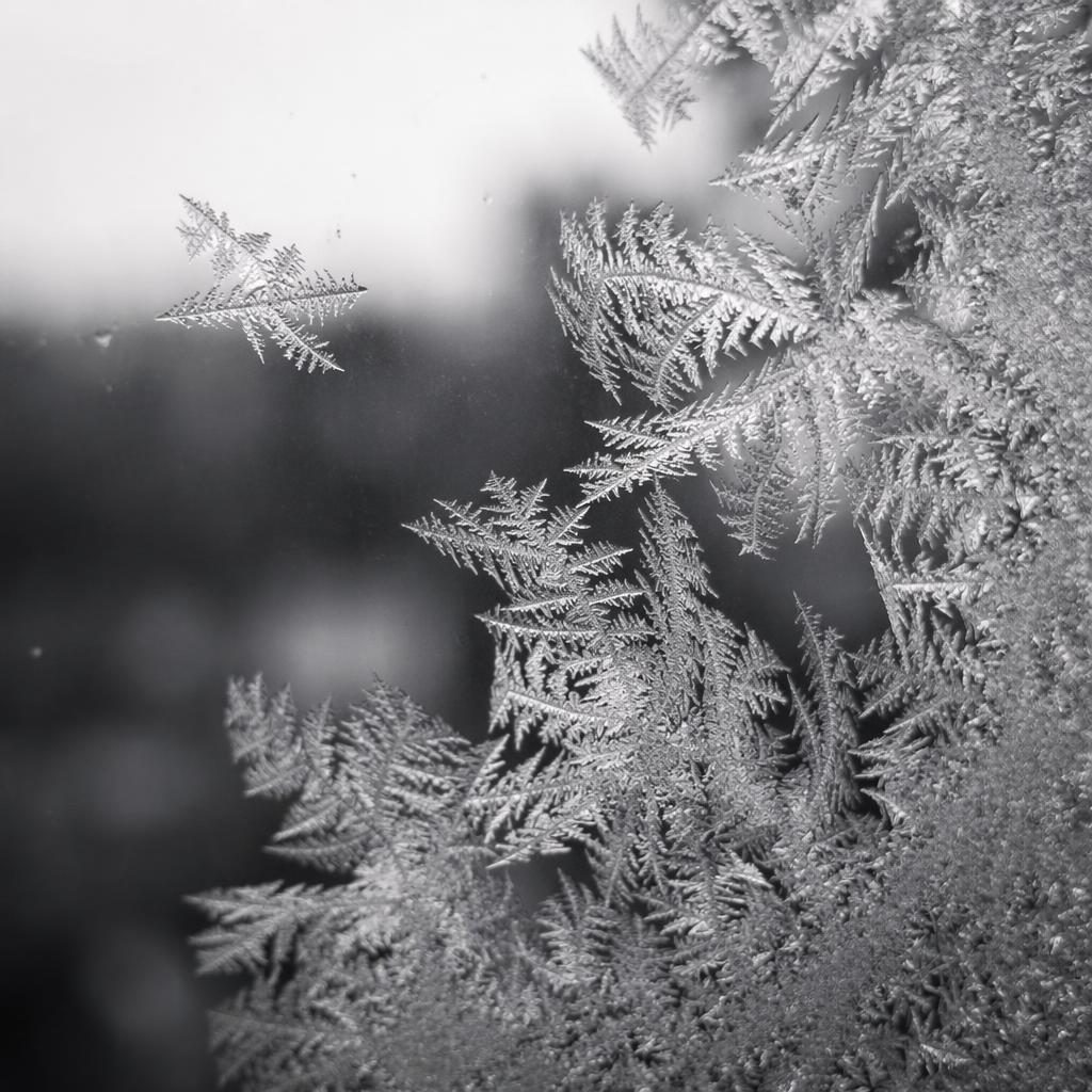 Macro close-up of frost crystals on a window, side-lit in black and white with shallow depth and creamy bokeh.