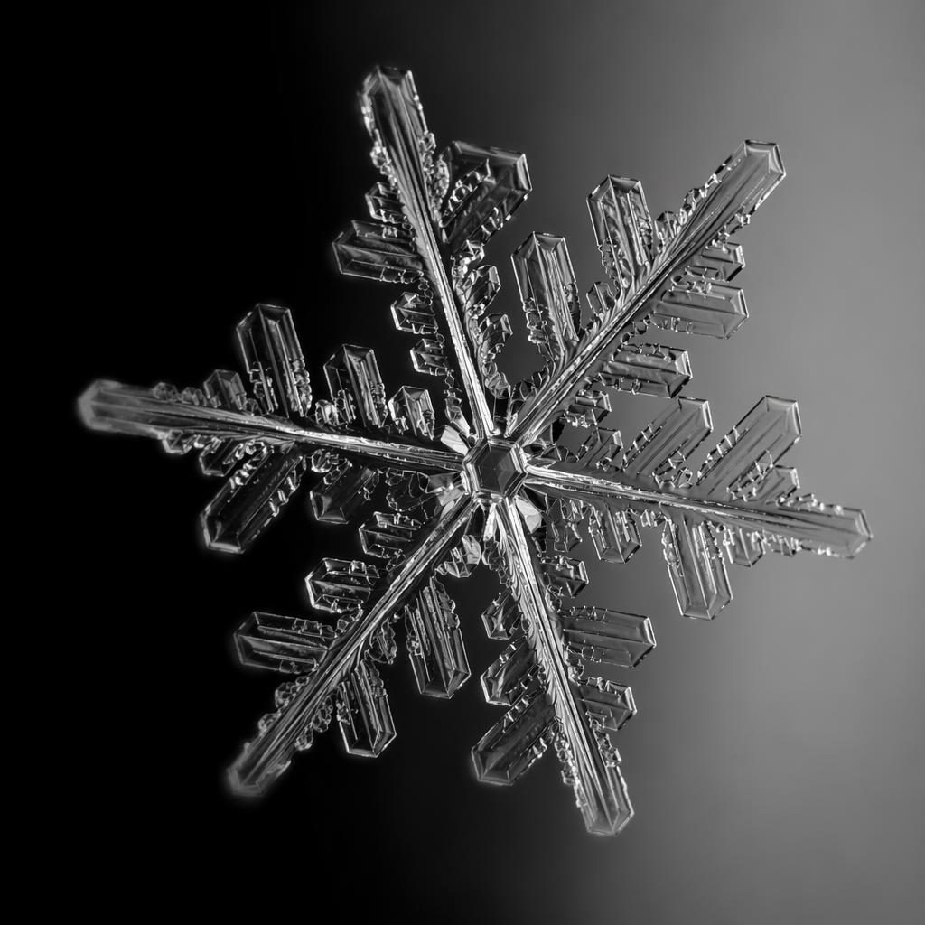 Black and white macro close-up of an ice crystal under a microscope with dramatic side light and sharp texture