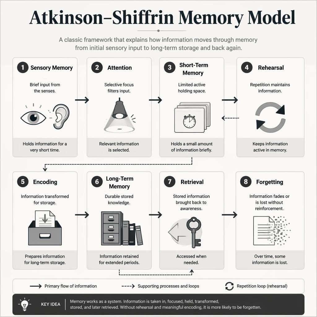 Monochrome educational infographic poster showing 8 stages of the Atkinson–Shiffrin memory model with icons and arrows.