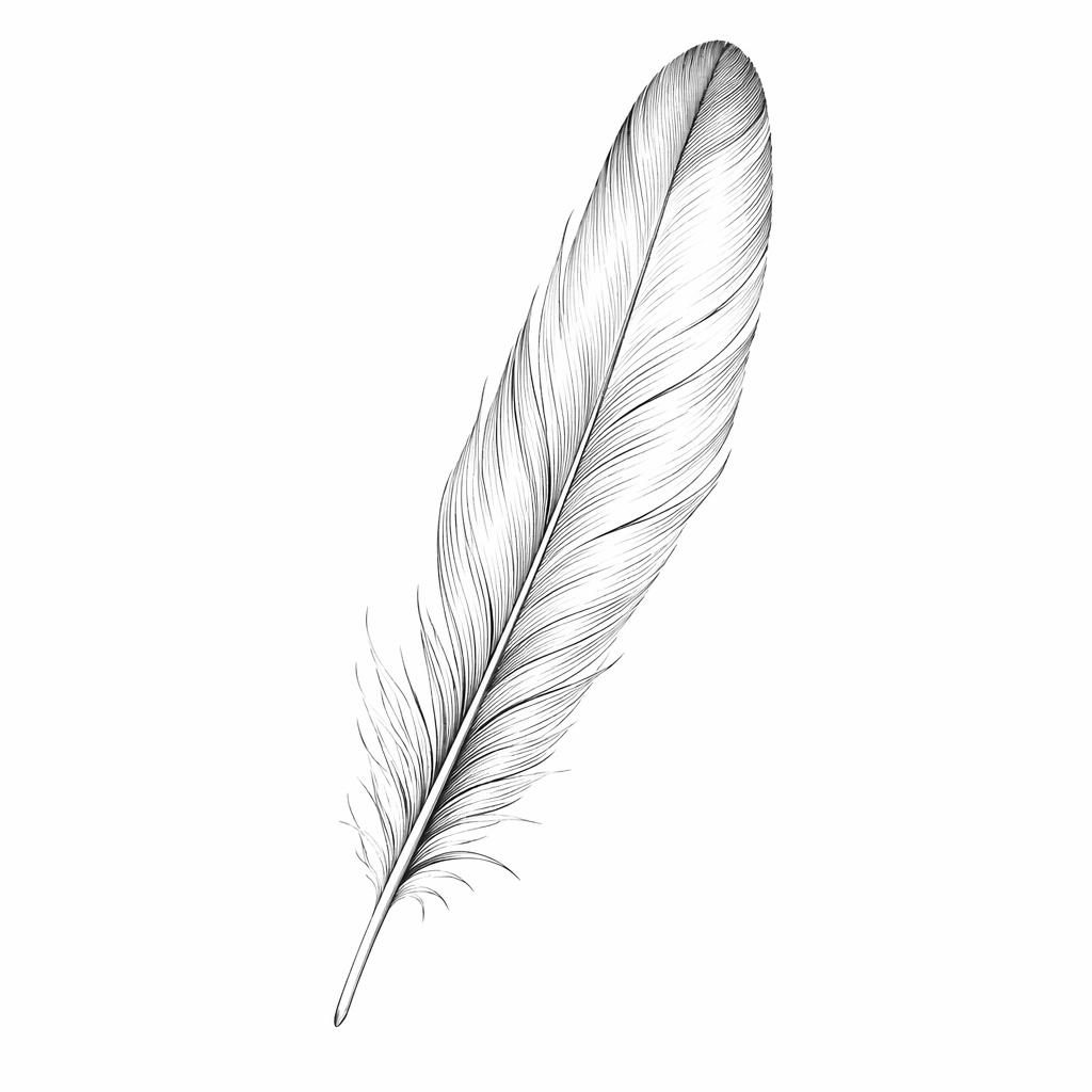 Minimalist fineline feather tattoo design drawn on white paper, clean flash-sheet style with sharp high-contrast lines.