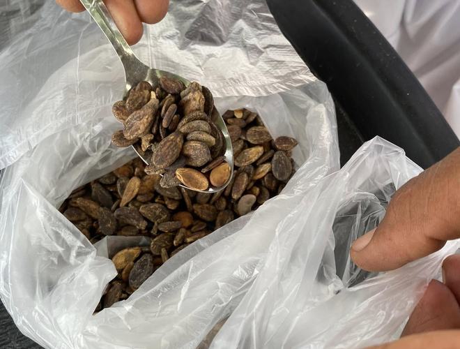 الكومبوست والزراعة العضوية