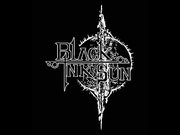 Band Logo for BLACK INK SUN