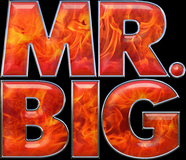 Band Logo for MR BIG