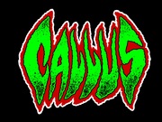 Band Logo for CALLUS