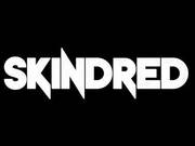 Band Logo for SKINDRED