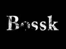 Band Logo for BOSSK