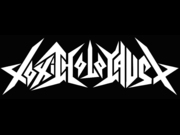 Band Logo for TOXIC HOLOCAUST 