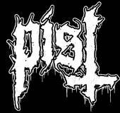 Band Logo for PIST