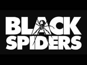 Band Logo for BLACK SPIDERS