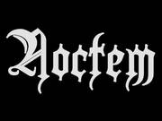 Band Logo for NOCTEM