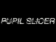 Band Logo for PUPIL SLICER