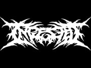 Band Logo for INGESTED