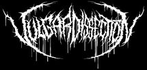 Band Logo for VULGAR DISSECTION