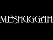 Band Logo for MESHUGGAH