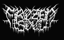 Band Logo for FROZEN SOUL