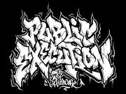 Band Logo for PUBLIC EXECUTION