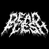 Band Logo for DEAD FLESH