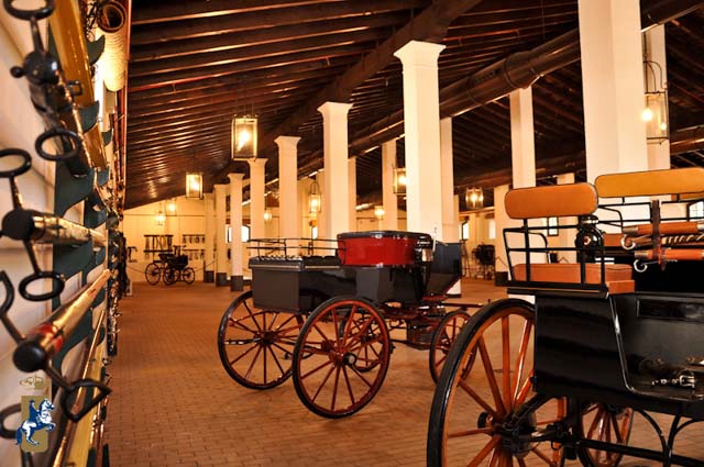 REAL ESCUELA DE ARTE ECUESTRE - MUSEO DEL ENGANCHE - imagen 2